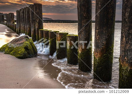 Wooden groynes on beach of Baltic sea in Svetlogorsk at sunset. Kaliningrad region. Russia Wooden groynes on beach of Baltic sea in Svetlogorsk at sunset. Kaliningrad region. Russia 101212009