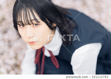 Sakura and school girl in school uniform 101212783