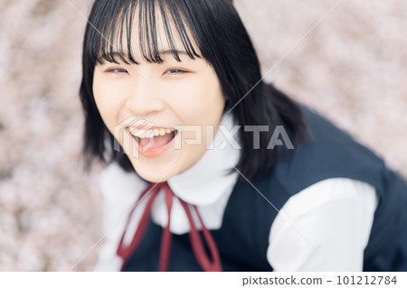 Sakura and school girl in school uniform 101212784