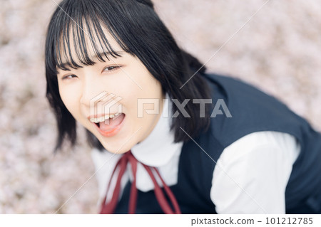 Sakura and school girl in school uniform 101212785