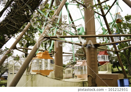 Ishiyama Kannon Pond R5 Cherry Blossoms Ferris Wheel Ishiyama Kannon Pond R5 Cherry Blossoms Ferris Wheel 101212931