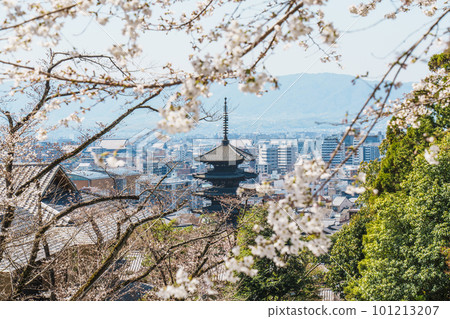從京都靈山護國神社看八坂塔和只園市景,櫻花盛開 從京都靈山護國神社看八坂塔和只園市景,櫻花盛開 101213207