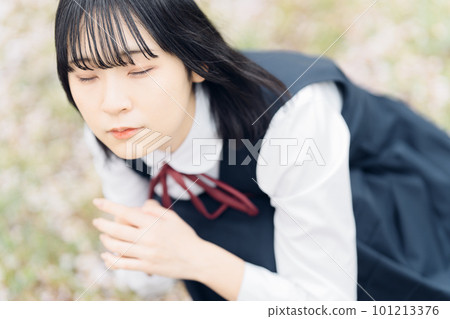 Sakura and school girl in school uniform 101213376