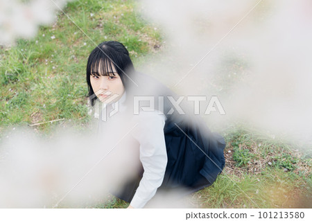 High school girl staring under the cherry tree High school girl staring under the cherry tree 101213580