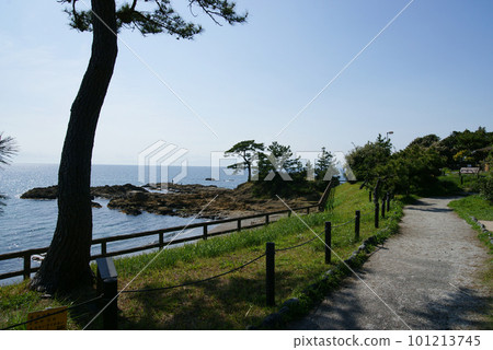 Tateishi Park Bonten no Hana no Matsu 101213745
