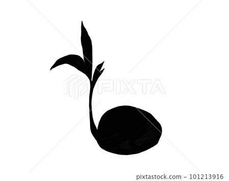 Illustration material of sprouted coconut (silhouette) 101213916