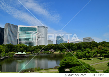 Hama-rikyu Gardens Shioiri Pond Skyscraper 101214459
