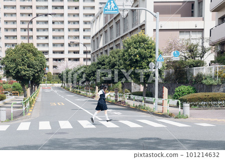 High school girl crossing the pedestrian crossing High school girl crossing the pedestrian crossing 101214632