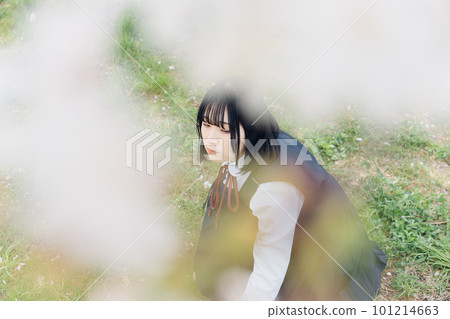 櫻花和學校的女孩 櫻花和學校的女孩 101214663