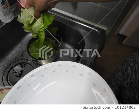 Washing vegetables Vegetables kitchen sink 101214802