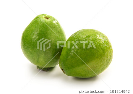 Guava, a tropical fruit from the southern country Guava, a tropical fruit from the southern country 101214942