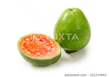 Guava, a tropical fruit from the southern country Guava, a tropical fruit from the southern country 101214943
