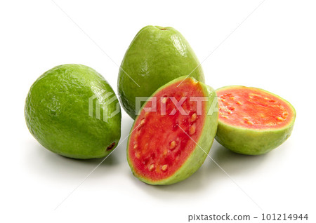 Guava, a tropical fruit from the southern country Guava, a tropical fruit from the southern country 101214944