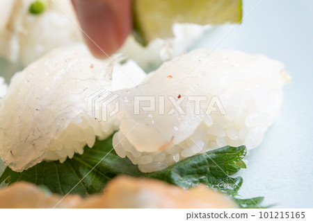 將檸檬擠入 magochi nigiri 將檸檬擠入 magochi nigiri 101215165