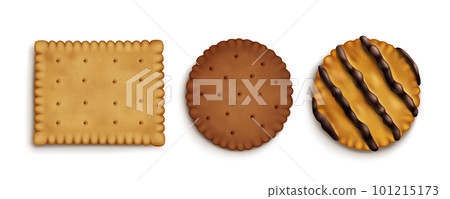 Realistic set of crispy cracker cookies 101215173