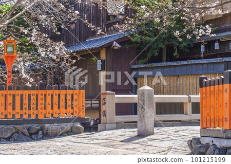 京都祗園白川龍橋櫻花盛開 京都祗園白川龍橋櫻花盛開 101215199