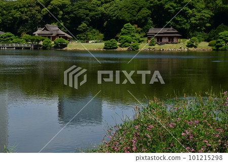 濱離宮庭園 潮入池 101215298