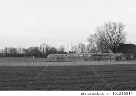 Greenhouse in the field in Meerbusch, Germany Greenhouse in the field in Meerbusch, Germany 101216814