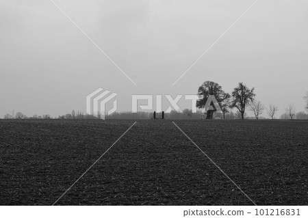 Grayscale shot of two trees in the field on a foggy day. Meerbusch, Germany. Grayscale shot of two trees in the field on a foggy day. Meerbusch, Germany. 101216831