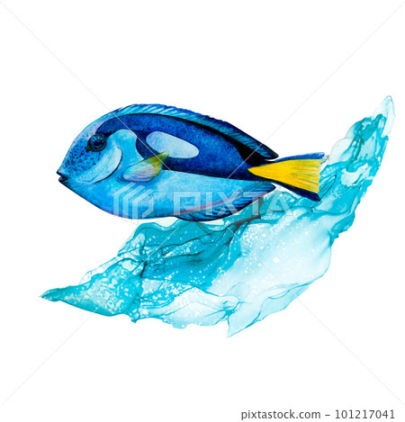 Watercolor drawing of surgeon fish and blue wave on white background. Water with glares. Underwater picture for illustration, sticker, logo, textile printings. All spots, fins and tail are realistic Watercolor drawing of surgeon fish and blue wave on white background. Water with glares. Underwater picture for illustration, sticker, logo, textile printings. All spots, fins and tail are realistic 101217041