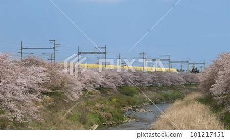 東海道新幹線醫生黃樹和梅田河沿岸的櫻花樹 東海道新幹線醫生黃樹和梅田河沿岸的櫻花樹 101217451