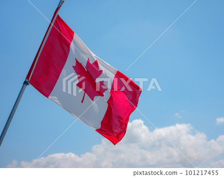 Beautiful Canada flag is waving front of historical street in Basel, Switzerland 101217455
