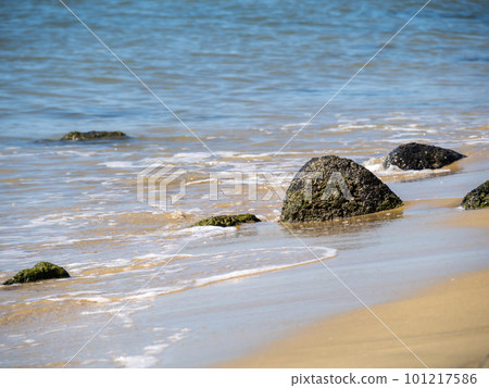 Calm coast. 101217586