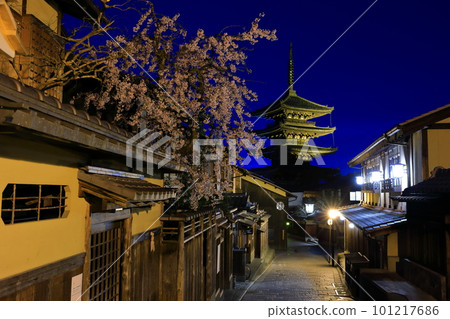 [Kyoto Prefecture] Night view of Yasaka Pagoda with cherry blossoms in full bloom 101217686