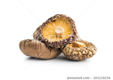 Dried shiitake mushrooms isolated on white background. 101218258