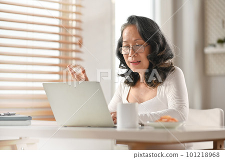 Modern mature businesswoman having online video call conference on laptop. Distant communication, remote work concept 101218968