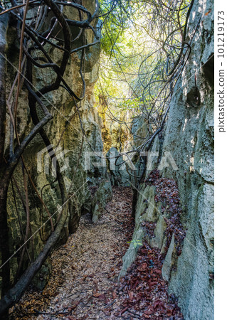 Petit Tsingy de Bemaraha, amazing landscape, Madagascar wilderness landscape 101219173