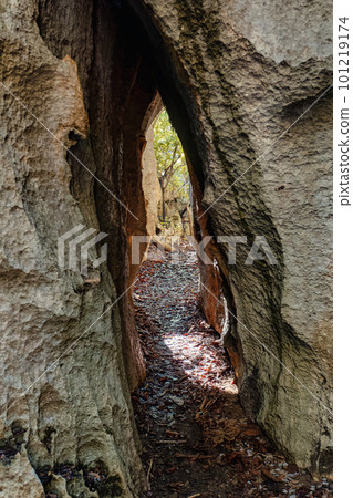 Petit Tsingy de Bemaraha, amazing landscape, Madagascar wilderness landscape 101219174