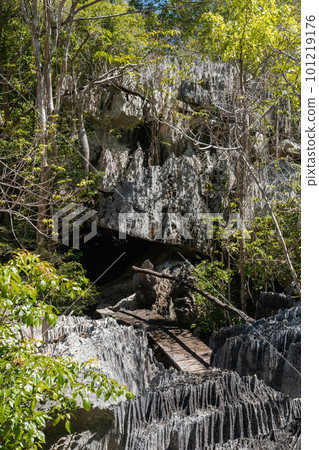 Petit Tsingy de Bemaraha, amazing landscape, Madagascar wilderness landscape 101219176