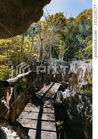 Petit Tsingy de Bemaraha, amazing landscape, Madagascar wilderness landscape 101219177