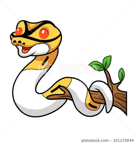 Cute albino pied ball python cartoon on tree branch 101219844