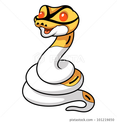 Cute albino pied ball python cartoon Cute albino pied ball python cartoon 101219850