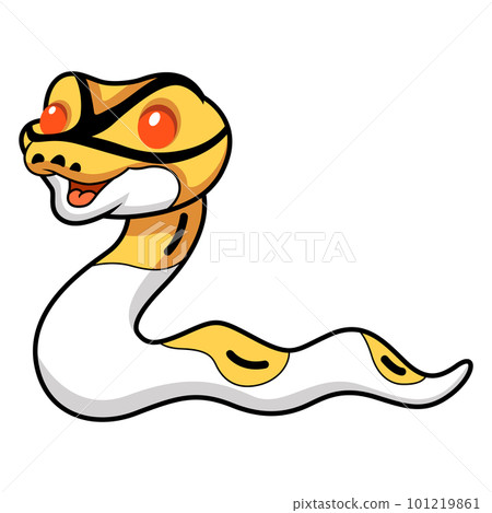 Cute albino pied ball python cartoon Cute albino pied ball python cartoon 101219861