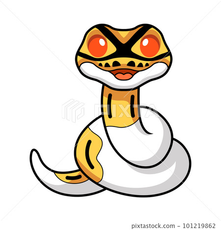 Cute albino pied ball python cartoon Cute albino pied ball python cartoon 101219862