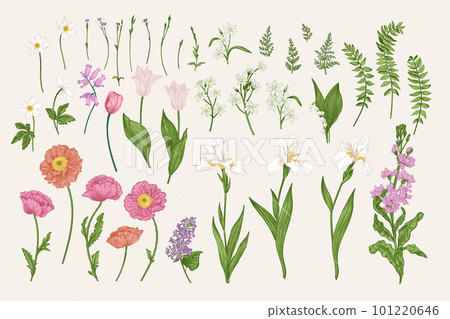 Set with garden flowers 101220646