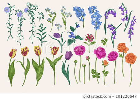 Set with spring and summer flowers 101220647