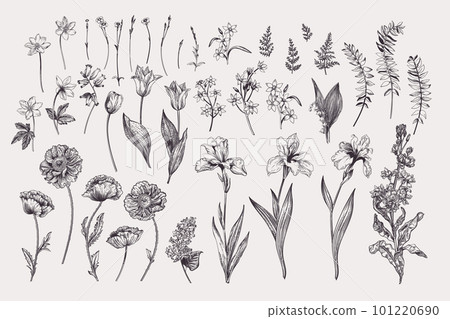 Set with garden flowers 101220690