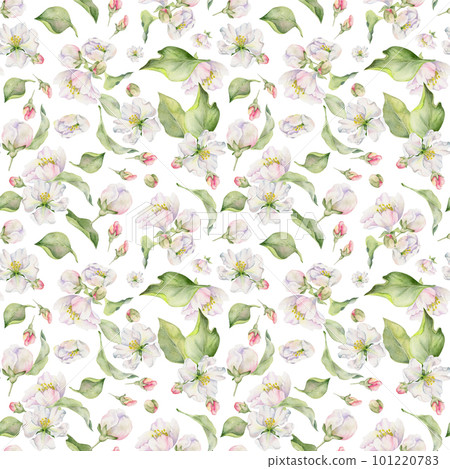 Hand drawn watercolor apple blossom, white and red flowers and green leaves. Seamless pattern. Isolated object on white background. Design for wall art, wedding, print, fabric, cover, card. 101220783