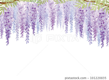 水彩繪的美麗的紫藤花隧道背景材料 101220835