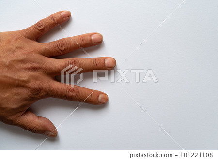 白色背景上的人手 101221108