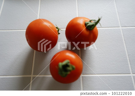 新鮮的小迷你番茄 101222010