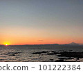 湘南需要日落 101222384