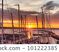 在早晨的陽光下染色的港口碼頭 101222385