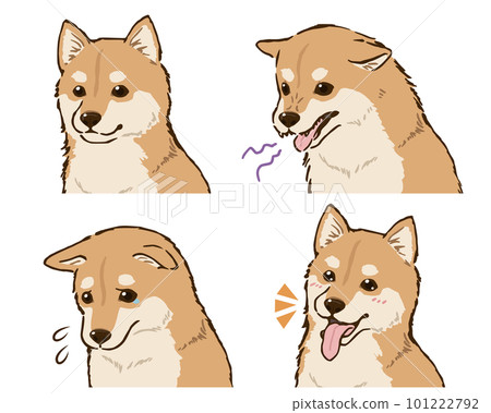 柴犬的情緒（柴犬） 101222792