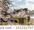 櫻花盛開的風景 小田原城 101222797
