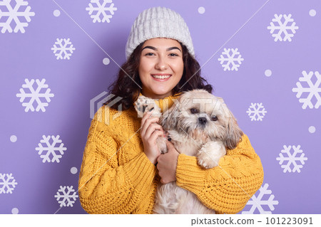 Horizontal indoor picture of cheerful smiling curly haired woman standing isolated over lilac background, holding Maltese dog in hands, having peaceful facial expression. People and animals concept. Horizontal indoor picture of cheerful smiling curly haired woman standing isolated over lilac background, holding Maltese dog in hands, having peaceful facial expression. People and animals concept. 101223091